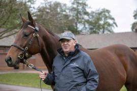 Terry Doherty TDM 0849Tattersalls