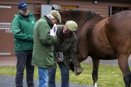 Trevor Harris And Nick Wingfield Digby TDM 2660Tattersalls