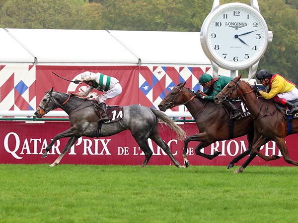 The Frankel own-sister to exceptional Prix de l'Arc de Triomphe and six-time Group 1 winner Alpinista will be offered at Book 1 of the Tattersalls October Yearling Sale 