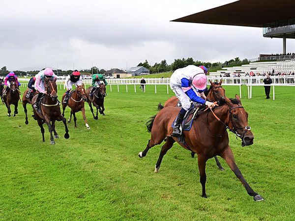 You Got To Me will be the first Irish Oaks winner sold at Tattersalls in the year of her victory in over forty years and will be offered by Newsells Park Stud in the Sceptre Sessions 