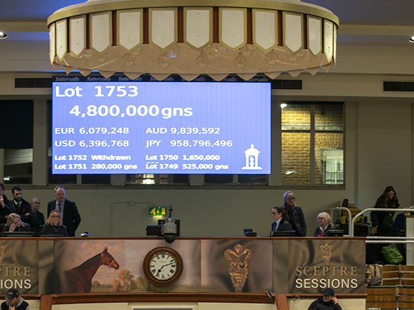 You Got To Me sold for a world leading 4,800,000 guineas in the Sceptre Sessions of the Tattersalls December Mares Sale 