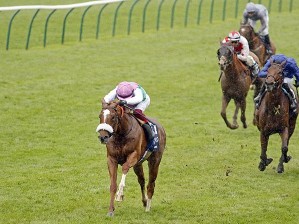 Chaldean winning last year’s 2,000 Guineas in emphatic style.  