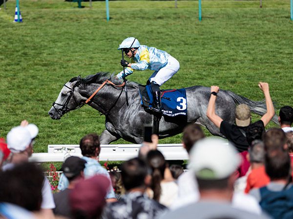 Group 1 Prix Jacques le Marois winner Charyn was one of two Group 1 winners from the Tattersalls October Yearling Sale on Sunday. 