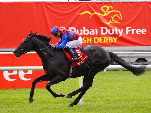 Frequential, the dam of 2024 Group 1 Irish Derby winner Los Angeles, was bought at the Tattersalls February Sale for 48,000 guineas 