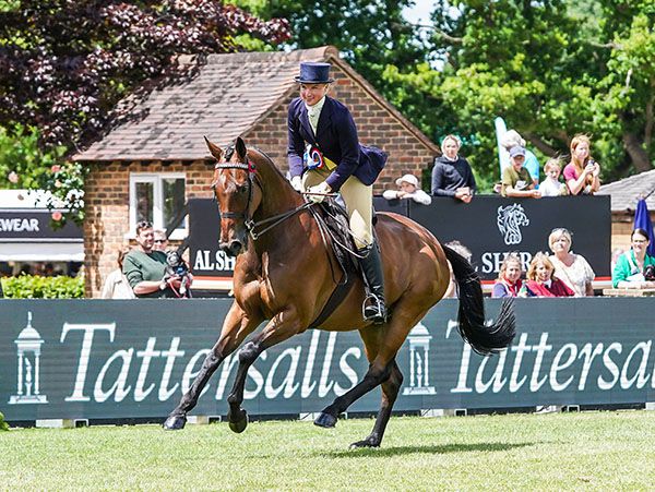 Tattersalls support of the Retraining of Racehorses charity includes the new RoR Showcase, the Tattersalls RoR Showing Series and the RoR Sales Company Welfare Levy 