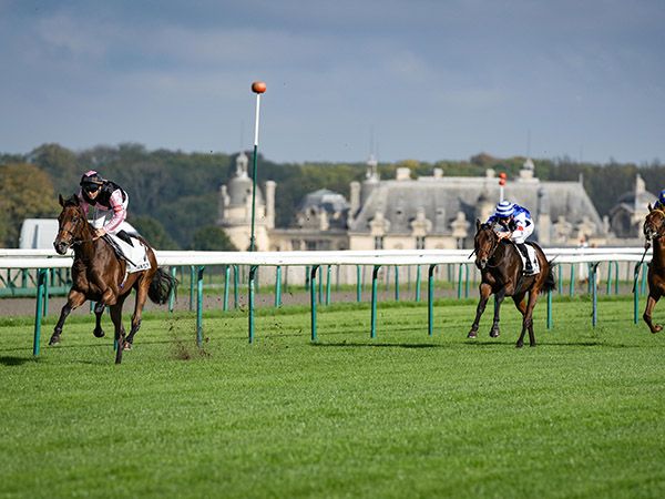 Square D'Alboni winning the Listed Prix Isonomy at Chantilly by an eased-down four lenths. 