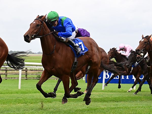 Promising two-year-old The Palace Girl is a half-sister to brilliant Group 1 winner Tamfana and was second at the Curragh on her only start to date 