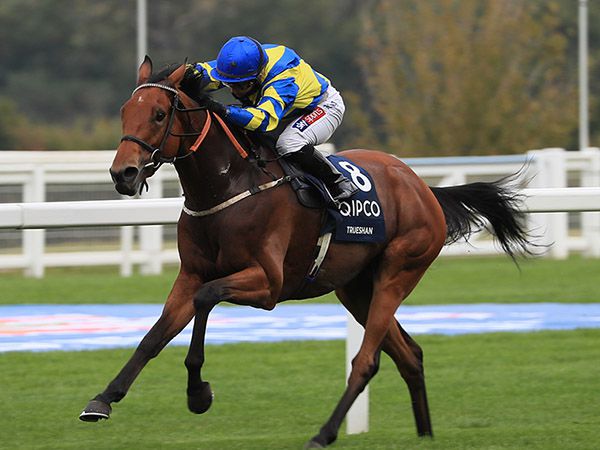 Group 2 British Champions Long Distance Cup winner TRUESHAN was purchased at the Guineas Breeze Up Sale for 31,000 guineas 