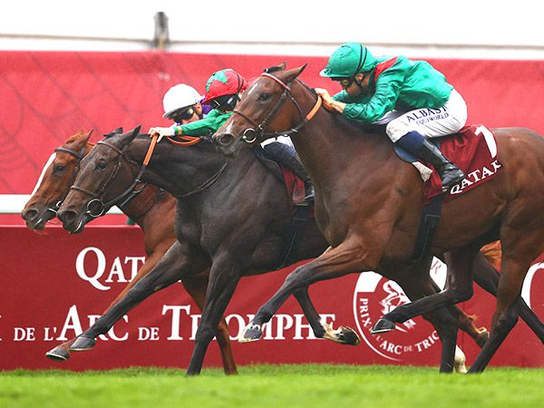 VERTICAL BLUE (centre), winner of the Gr.1 Prix Marcel Boussac, is the highest rated 2YO in France 