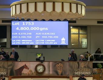 You Got To Me sold for a world leading 4,800,000 guineas in the Sceptre Sessions of the Tattersalls December Mares Sale