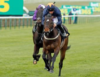 Blue Storm winning on debut at Newmarket's Rowley Mile