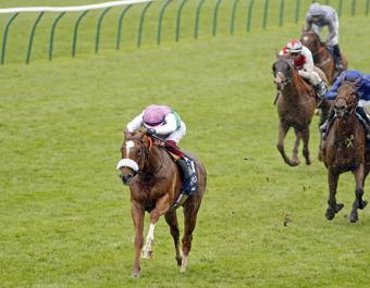 Chaldean winning last year’s 2,000 Guineas in emphatic style. 