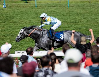 Group 1 Prix Jacques le Marois winner Charyn was one of two Group 1 winners from the Tattersalls October Yearling Sale on Sunday. 