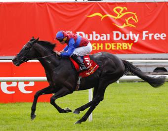 Frequential, the dam of 2024 Group 1 Irish Derby winner Los Angeles, was bought at the Tattersalls February Sale for 48,000 guineas