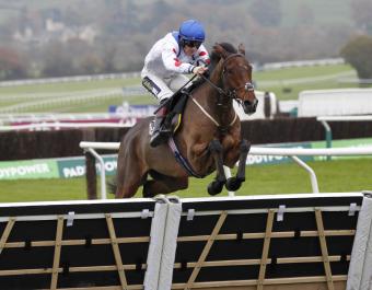 Potters Charm: winner of the Grade 2 Albert Bartlett Novices Hurdle at the Cheltenham November meeting