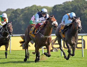 Group 1 Haydock Sprint Cup winner Regional was bought for 3,500 guineas at the Tattersalls July Sale