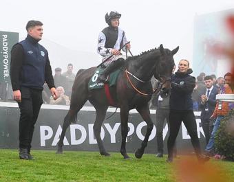 ROMEO COOLIO: the son of Kayf Tara walks in to the winners' spot after his first Grade 1 victory in the 2m novice hurdle at Leopardstown