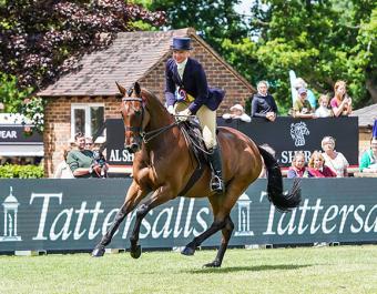 Tattersalls support of the Retraining of Racehorses charity includes the new RoR Showcase, the Tattersalls RoR Showing Series and the RoR Sales Company Welfare Levy