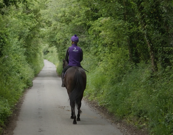 Enchanting Empress is unbeaten in three starts for Amo Racing & Giselle De Aguiar and trainer Dominic Ffrench Davis and has several options at Royal Ascot