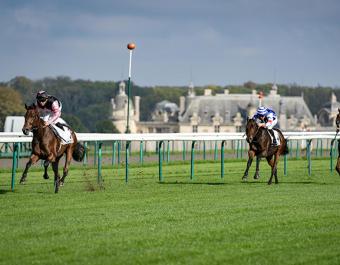 Square D'Alboni winning the Listed Prix Isonomy at Chantilly by an eased-down four lenths. 