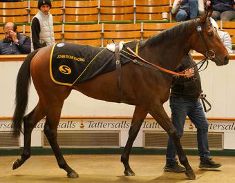 Lot 1129A: La Bellota (IRE)