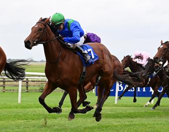 Promising two-year-old The Palace Girl is a half-sister to brilliant Group 1 winner Tamfana and was second at the Curragh on her only start to date