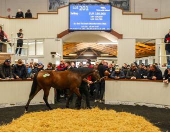 Lot 201 was the Top Lot on the first day for €130,000.