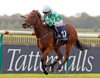 Woodhay Wonder was victorious in the 2023 £150,000 Tattersalls October Auction Stakes