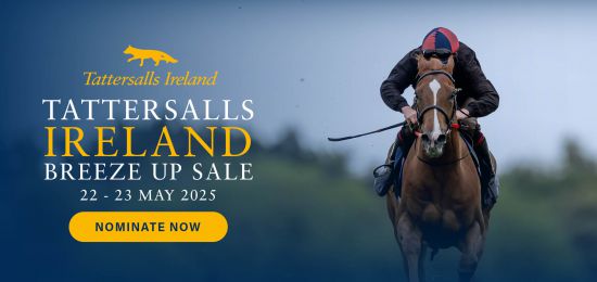 Tattersalls Ireland Breeze Up Sale - Nominate Now