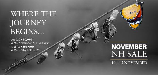 November NH Sale - View Catalogue