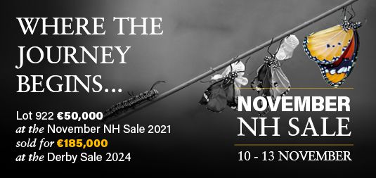 November NH Sale - View Catalogue