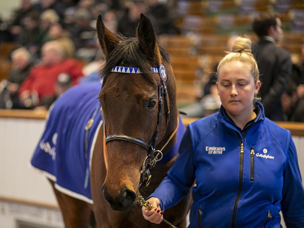 Lot 134: Scarlet Princess (GB)